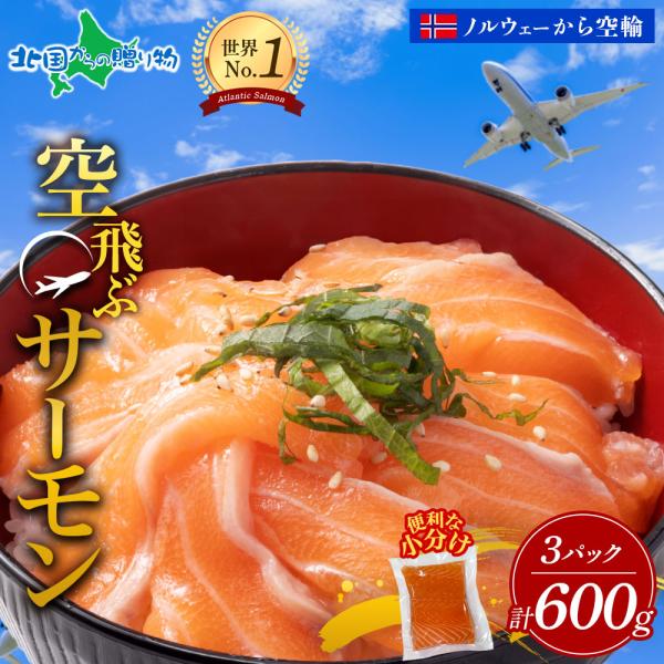 サーモン 600g ギフト 空飛ぶサーモン 刺身 冷凍 小分け 泉佐野市返礼品