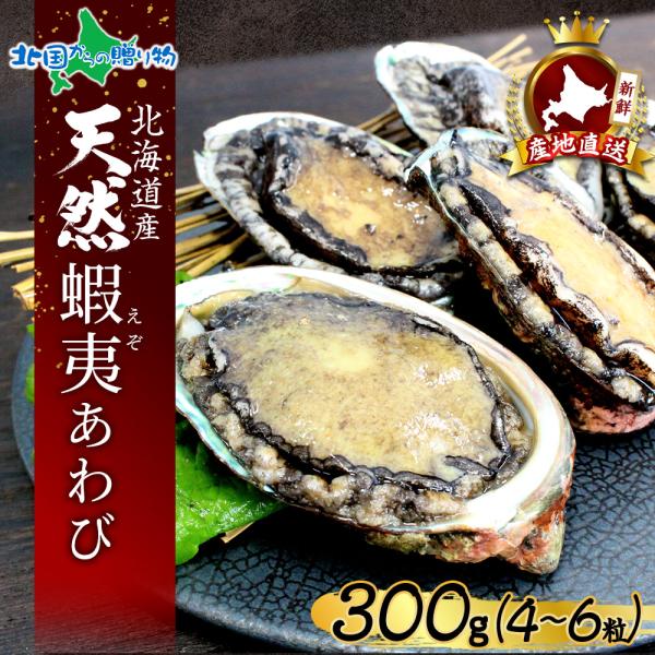 あわび 300g(4-6粒)北海道産 蝦夷アワビ エゾ鮑 お土産 海鮮 ギフト