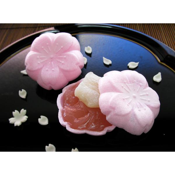 桜の和スイーツ】さくら最中【お花見】ギフト 贈り物 お祝い