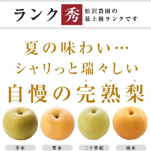 梨 長野県産 送料無料 秀品 5kg 幸水 豊水 二十世紀 南水 選べる品種 完熟なし 産地直送 甘い梨 旬の果物 ギフト お取り寄せ お中元 Buyee Buyee 提供一站式最全面最專業現地yahoo Japan拍賣代bid代拍代購服務 Bot Online