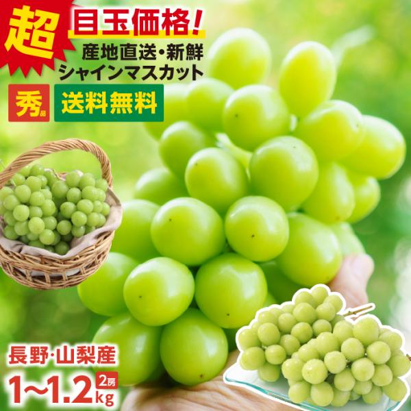山下屋荘介 シャインマスカット 秀品 2房 約1キロ・1.2キロ ＼最