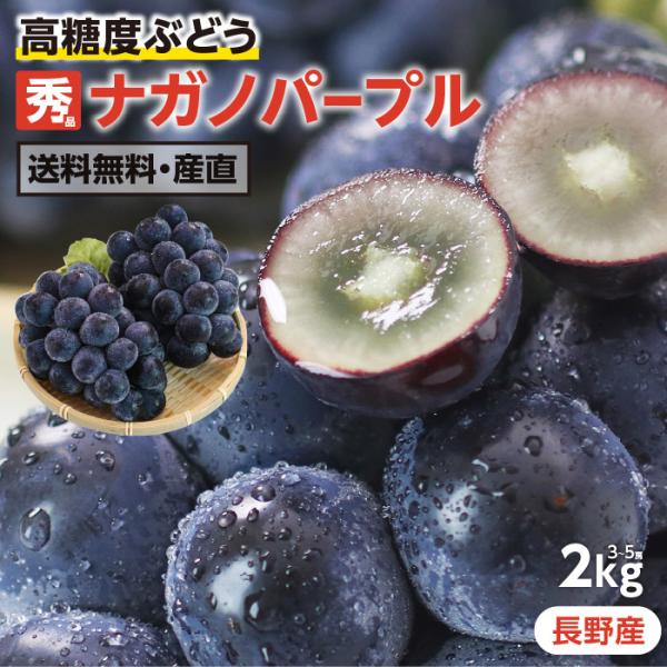 秀品長野パープル2キロ imgrc0102007781.jpg
