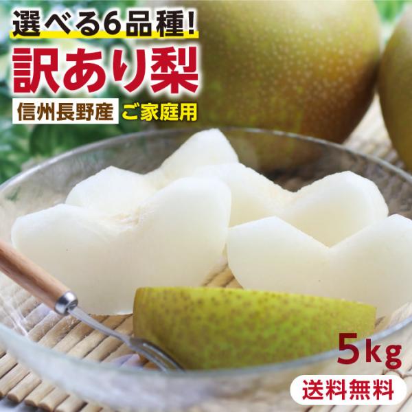 訳あり 梨の人気商品 通販 価格比較 価格 Com