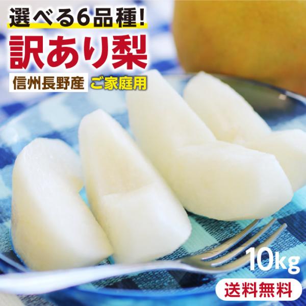 梨　豊水　成木 楽天市場】【8月下旬出荷開始】豊水 梨 5L 8～10個入り 千葉県