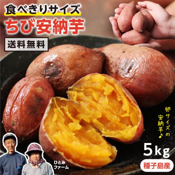 ܂ ш[ 5kg qY S`3STCY 60`80 Hׂ 󂠂 ЂƂ݃t@[ -S12T Ă Yn Mtg v[g 