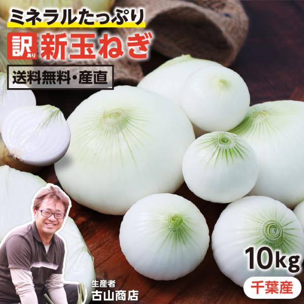 玉ねぎ 10kgの人気商品・通販・価格比較 - 価格.com 玉ねぎ 10kgの人気商品・通販・価格比較 - 価格.com