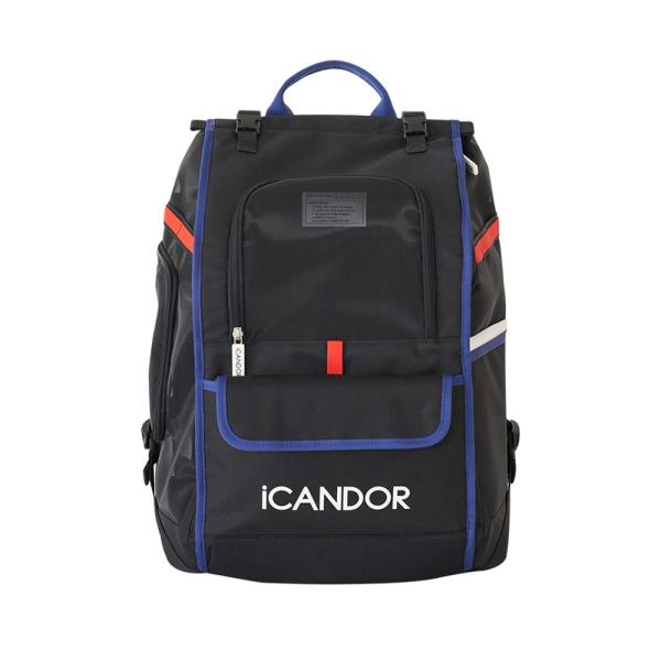 icandor アイキャンダー　ペットキャリー L / 美品 ICANDOR アイキャンダー PEEK-A-BOO BAG ペット ペットキャリー
