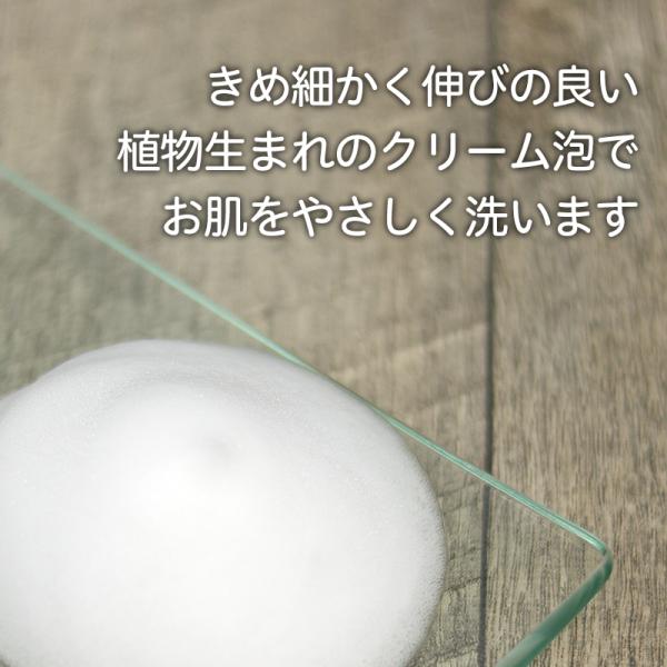 ボディソープ 泡 フォーム 無添加 泡の石けんボディソープ ラスカル 本体ボトル 480ml 泡で出るタイプ 液体石鹸 無香料 無着色 パラベンフリー Buyee Buyee 提供一站式最全面最專業現地yahoo Japan拍賣代bid代拍代購服務 Bot Online