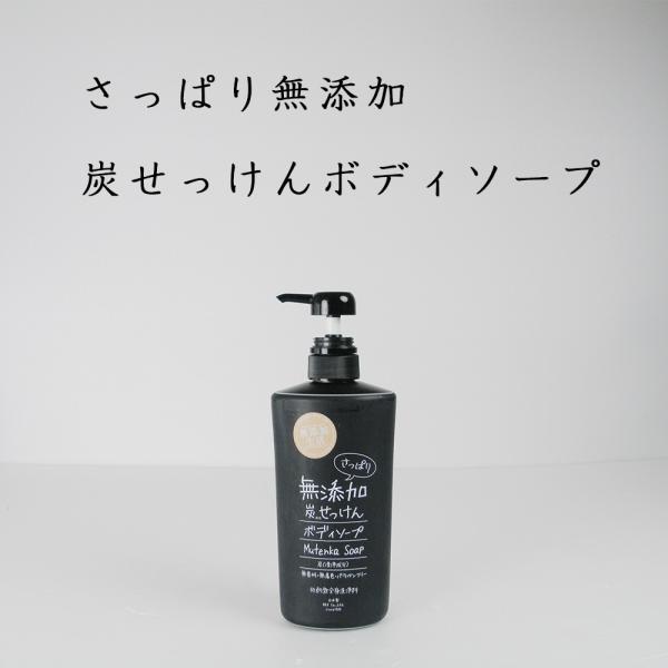 ボディソープ 詰め替え セット 無添加 炭 さっぱり ボディソープ ボトル 500ml つめかえ パウチ 400ｍl 毛穴 炭配合 液体石鹸 お風呂 Buyee Buyee 提供一站式最全面最专业现地yahoo Japan拍卖代bid代拍代购服务 Bot Online