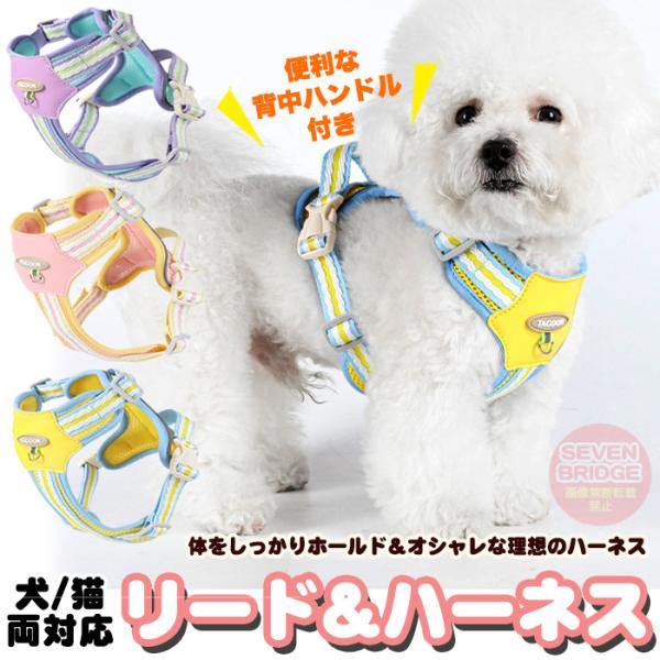 体にフィットする部分の多い胸元を広くする構造で負担を軽減できる体に優しいハーネス。さらに胸元PUレザー仕様で耐摩耗性と柔軟性が高く、質感と品質が格段に向上します。ベルト部分4点で細かなサイズ調整も可能なので着心地も良いです。背中ハンドル付き...