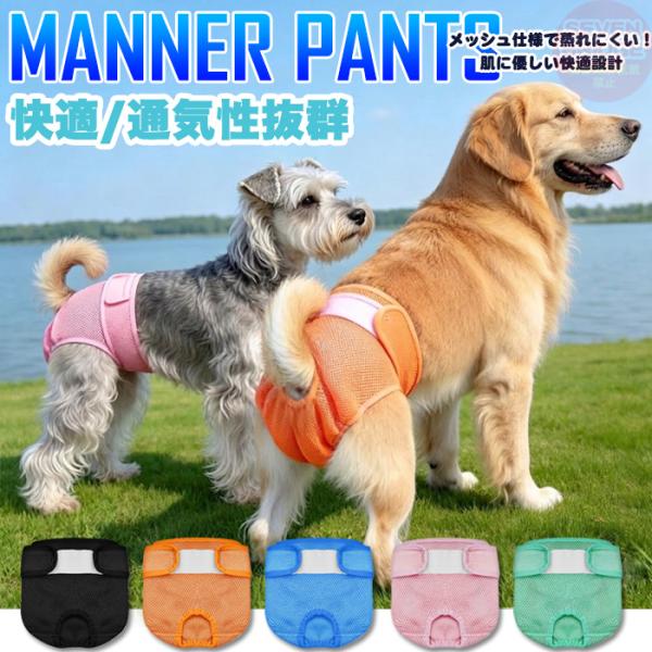 �� �}�i�[�p���c ���̎q �t�����b�V�� �ʋC�����Q ���y�� �ӂ��� �D�������G�� �����p���c �L�k�� �S�� �Y���Ȃ� ���^�� ���^�� ��^�� �􂦂� ����� ��� ���i�摜