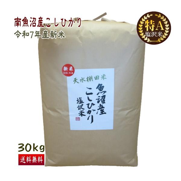 コシヒカリ 10%OFF 送料無料 （令和7年産新米） 徳用 南魚沼産 塩沢米