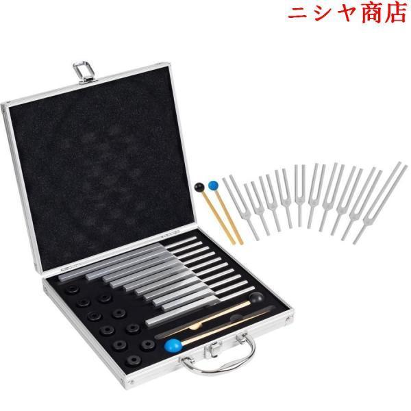 音叉 チャクラ セット 10本 コード化 サウンドヒーリング 瞑想 ヨガ