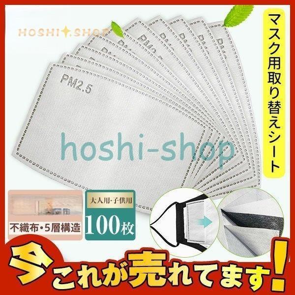 マスク用取り替えシート 5層構造 100枚入 大人用 子供用 花粉対策 活性炭入不織布 フィルターシート 交換マスクフィルター PM2.5