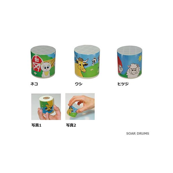 playbirds Play Wood プレイウッド アニマルボイス 動物 鳴き声 楽器 効果音 PLAYWOOD : 10007895 : SOAR SOUND -  通販 - Yahoo!ショッピング