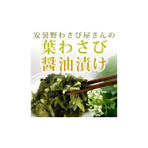 t킳яݖЂ MB ܖ MB(΃Zbg)ƓΑ Mtg v[g R z aj j