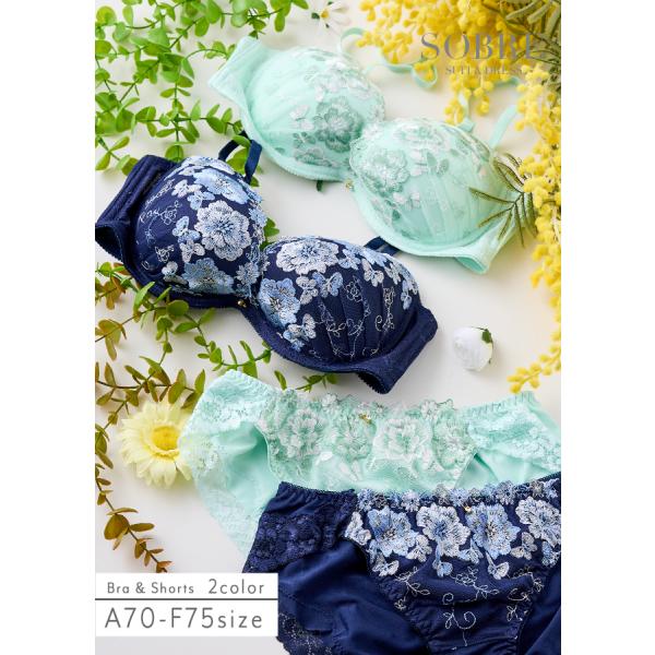 【SALE】パピヨンブルームブラ＆ショーツセット 下着 レディース セット 女性 ブラショーツ ブラ＆ショーツ ブラジャー ショーツ パンツ 返品交換不可