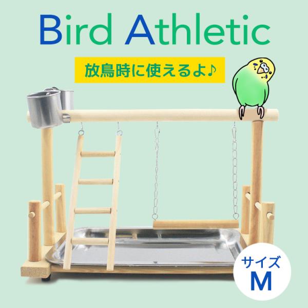 鳥かご オカメインコ 鳥 小動物用おもちゃの人気商品 通販 価格比較 価格 Com