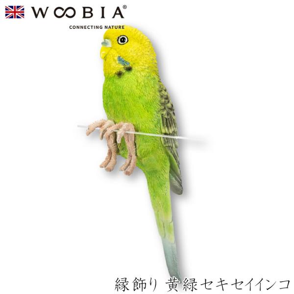 Woobia（ウービア）【縁飾り 黄緑セキセイインコ】 (幅17×奥行