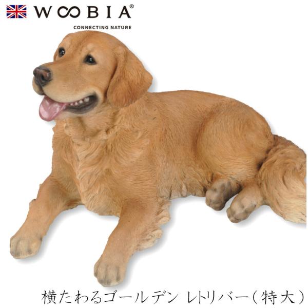 soeru-shop_woobia1021-h13099