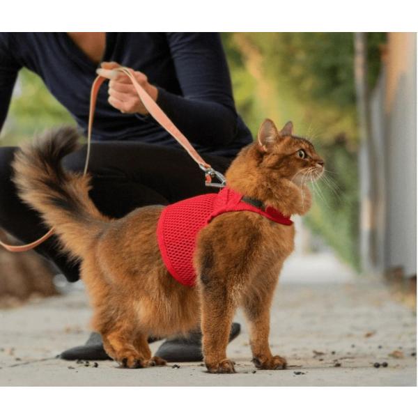 ysleepypodzMartingale Cat Harness / }[`Q[Lbgn[lX@MTCYiS5FjyLpEn[lXz