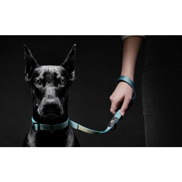 ysleepypodzTraffic Leash /gtBbN[Vi4FjypE[hEV[g[hE^z