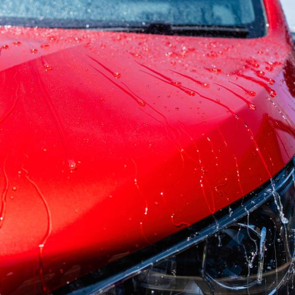 soft99e-mono_00535_3_d_20230830093516