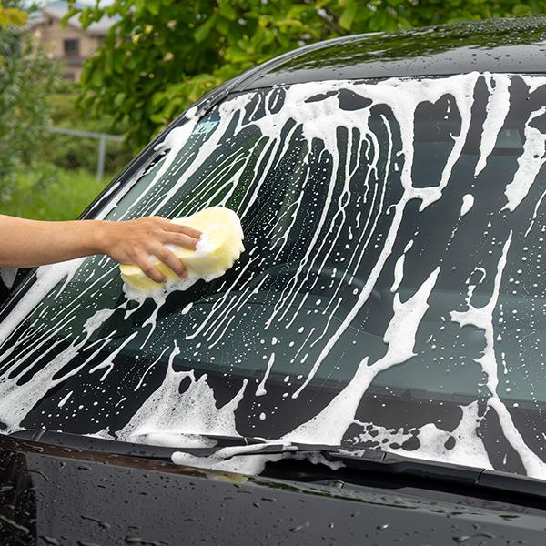 soft99e-mono_04958-2set_2_d_20251110145122