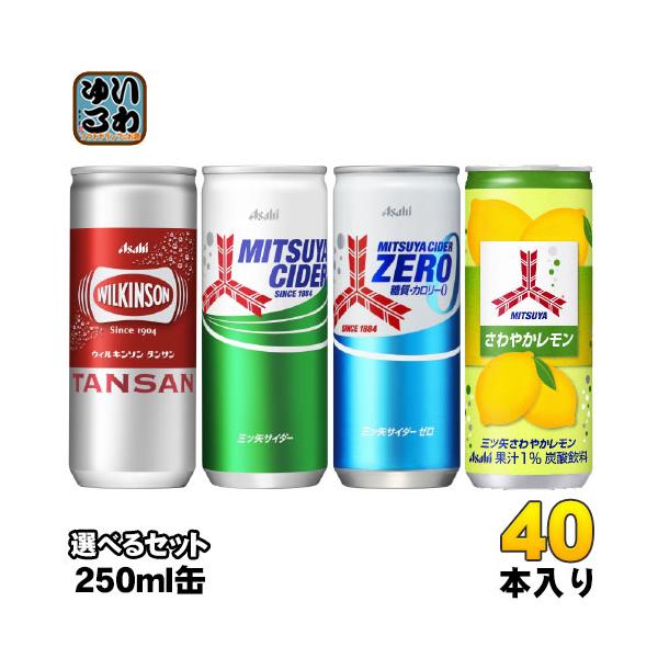 ウィルキンソン 三ツ矢サイダー 250ml 缶 選べる 40本 (20本×2