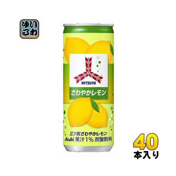 ATq OcTC_[ ₩ 250ml  40{ (20{×2 ܂Ƃߔ) Y_W[X ~c 