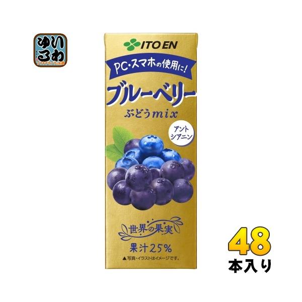 伊藤園（ITO EN） ブルーベリーぶどうmix 200ml 紙パック 48本 (24本入