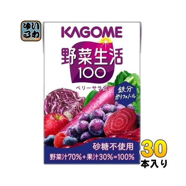 softdrink_4901306010440