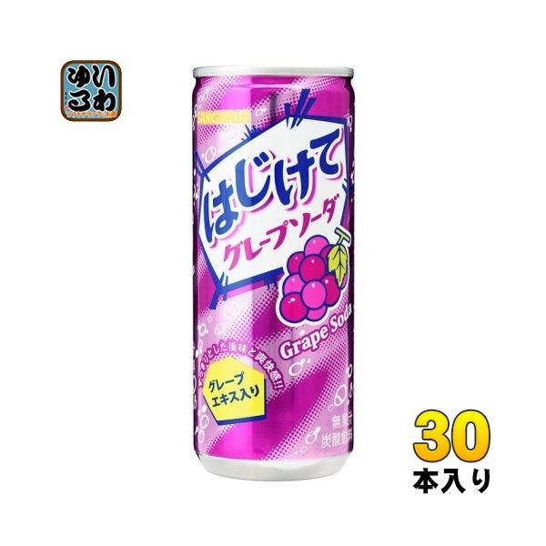 softdrink_4902179022684