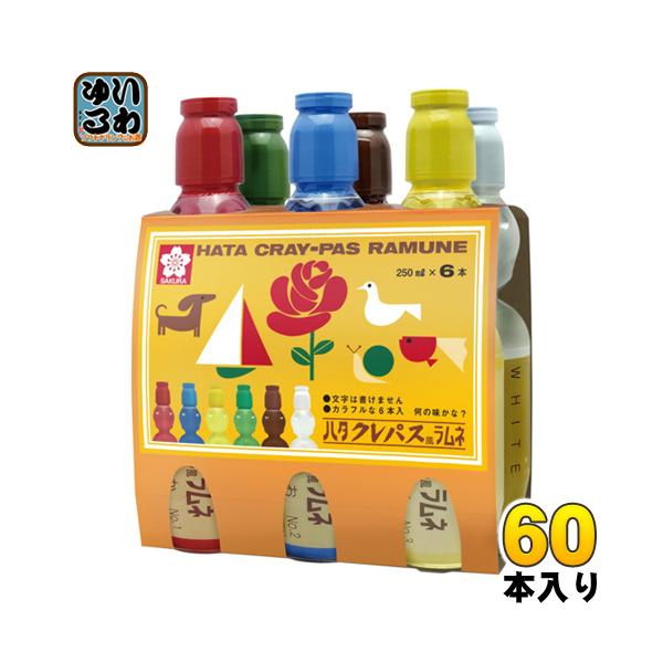 ハタ鉱泉 ハタクレパス風ラムネ 250ml ペットボトル 60本 (30本 ハタ鉱泉 ハタクレパス風ラムネ 250ml ペットボトル 60本 (30本