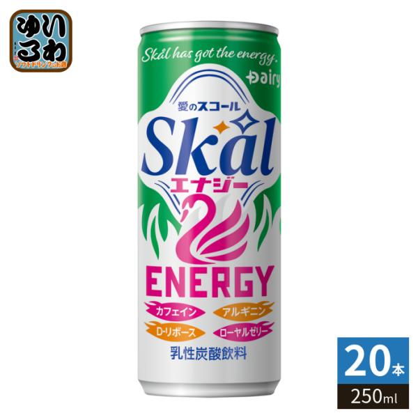南日本酪農協同 南日本酪農 スコール エナジー 250ml 缶 20本入 炭酸