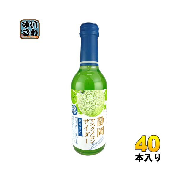超希少！【北光飲料】 ホームサイダー 空瓶 200ml 王冠付 サントリー おうちドリンクバー POPメロンソーダ 希釈用 原液 飲料