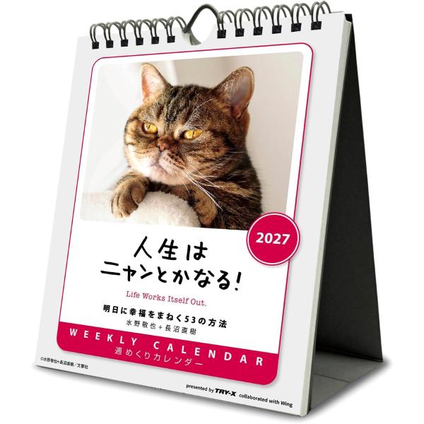 人生はニャンとかなる！ 卓上/壁掛 2027年 カレンダー 令和9年 27CL-384