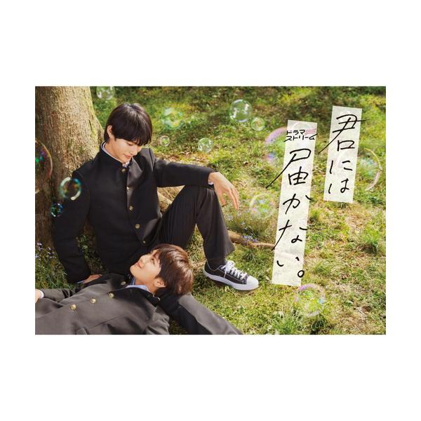 新品 君には届かない。 Blu-ray BOX /  (3Blu-ray) TCBD1538-TC