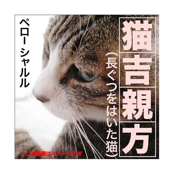 長ぐつをはいた猫 シャルル ペロー オーディオブックcd Pan Pan そふと屋プラチナ館 通販 Yahoo ショッピング