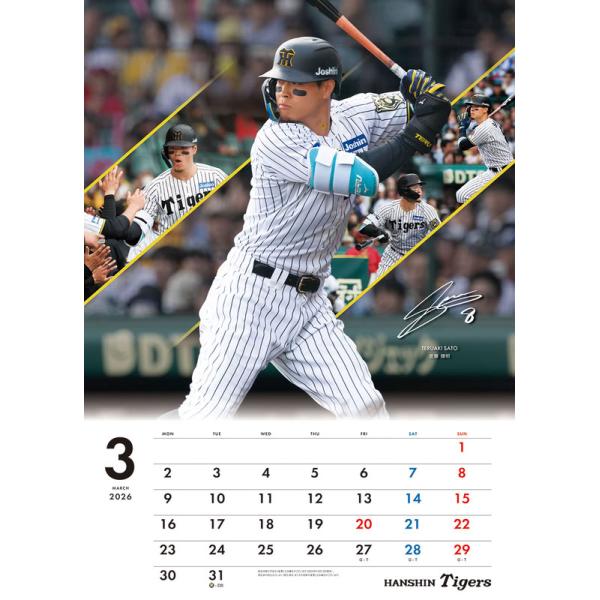 softya2_cl26-585_1_d_20251203100432