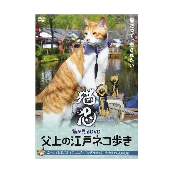 猫が見るDVD 父上の江戸ネコ歩き [DVD]