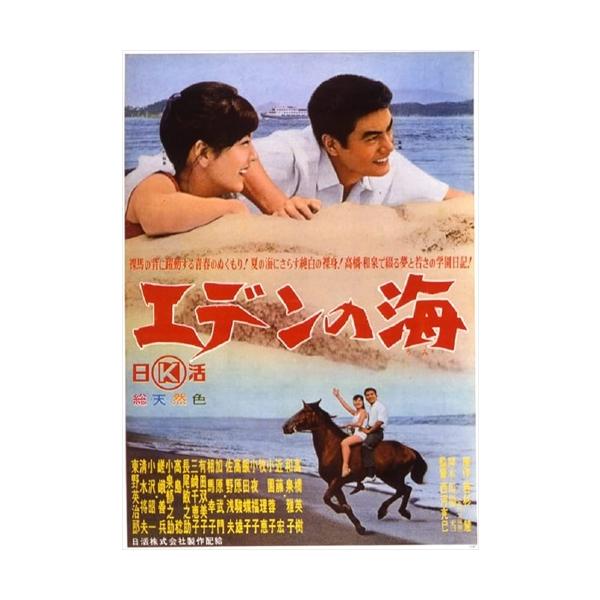 新品 日活110年記念 エデンの海 / 高橋英樹 (DVD) HPBN384-HPM1