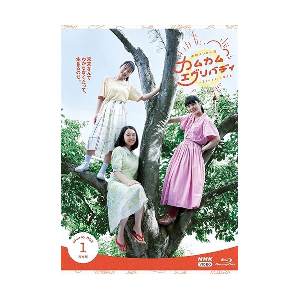 NHKエンタープライズ 新品 連続テレビ小説 カムカムエヴリバディ 完全