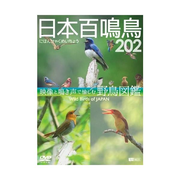 シンフォレストDVD 日本百鳴鳥 202 映像と鳴き声で愉しむ野鳥図鑑 / (DVD) SDB13-TKO
