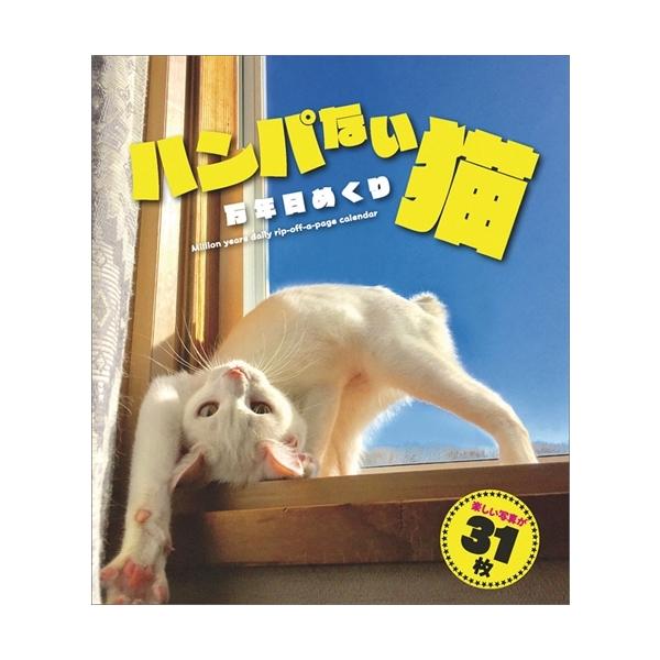 日めくり カレンダー 猫の人気商品 通販 価格比較 価格 Com