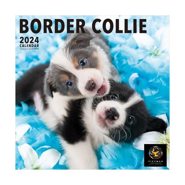 カレンダーの発売日延期や仕様変更につきましては、商品ページにてご確認くださいませ。価格変更・生産中止になった場合には、当店よりメールにてご案内させていただきます。サイズ・仕様／ヒラW288×H288mm・28P商品番号／24CL-50004...