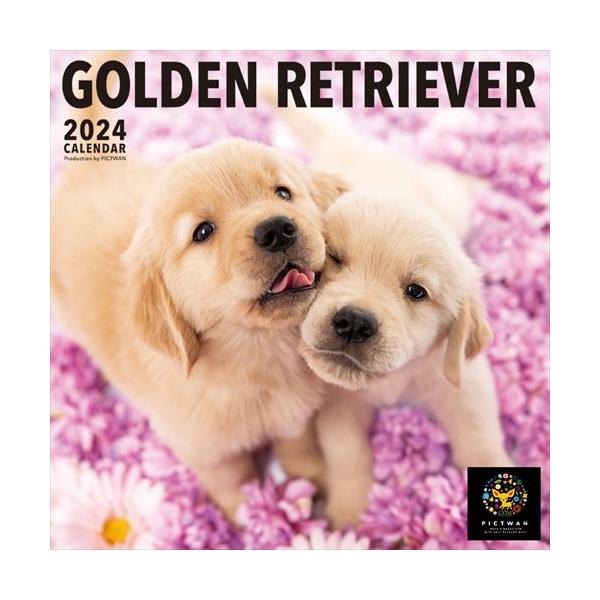 【残りわずか!!】【おまけCL付】ゴールデン・レトリーバー PICTWAN (ピクトワン) カレンダー DOG 【L版】 2024年カレンダー 24CL-50011L