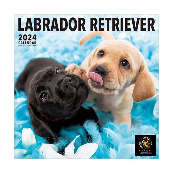 【残りわずか!!】【おまけCL付】ラブラドール・レトリーバー PICTWAN (ピクトワン) カレンダー DOG 【L版】 2024年カレンダー 24CL-50014L