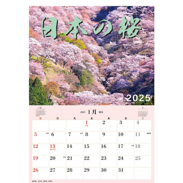 残りわずか!!】ジャンボ「日本の桜」スケジュール 2025年 壁掛け
