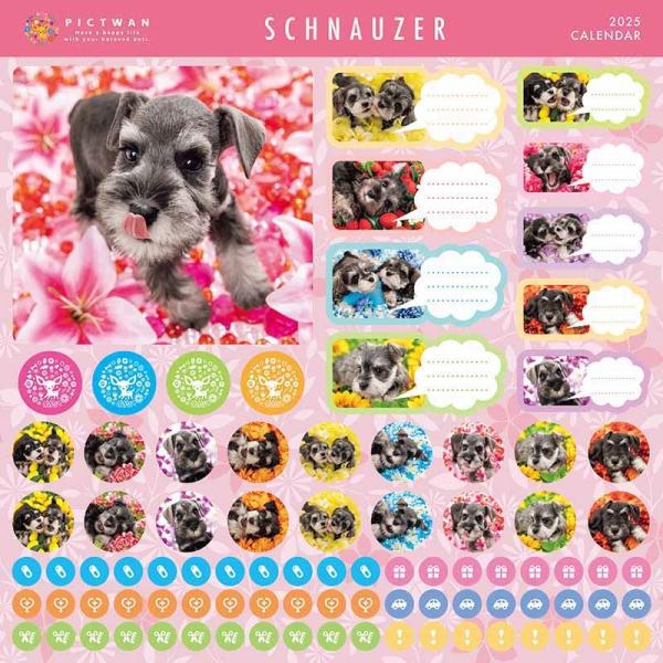 softya_25cl-50022l_2_d_20240530110943